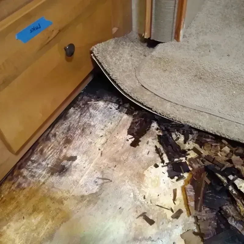 Best Wood Floor Water Damage Service in Helena-West Helena, AR